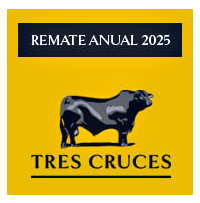 TRES CRUCES - Genética - Buenos Aires - Argentina